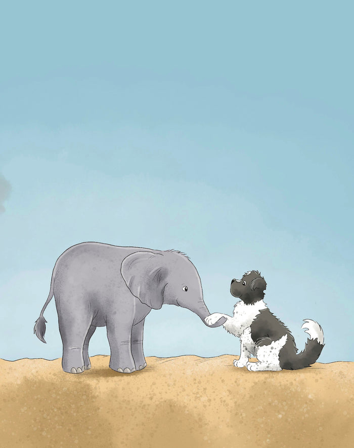 Monty and Friends African Adventure