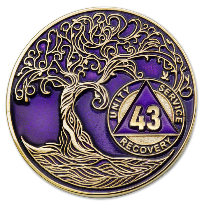 43 Years