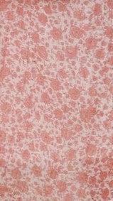Page Maxi Dress - Pink / White Floral