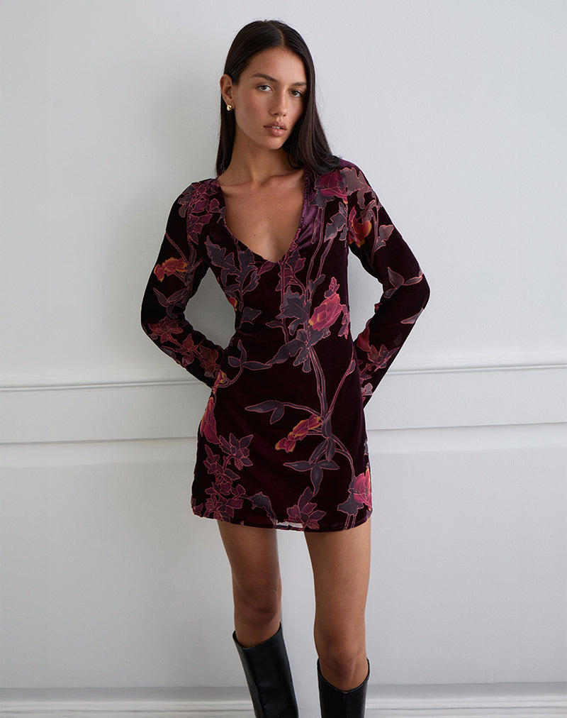 Alitra Mini Dress in Floral Devore Burgundy