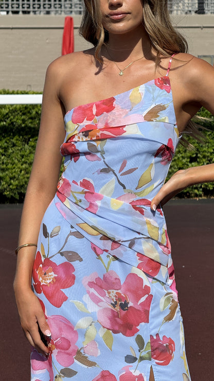 Karalina Maxi Dress - Blue/Pink Floral