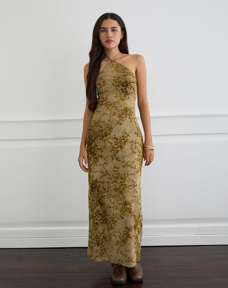 Rabika Maxi Dress in Burn Velvet Green