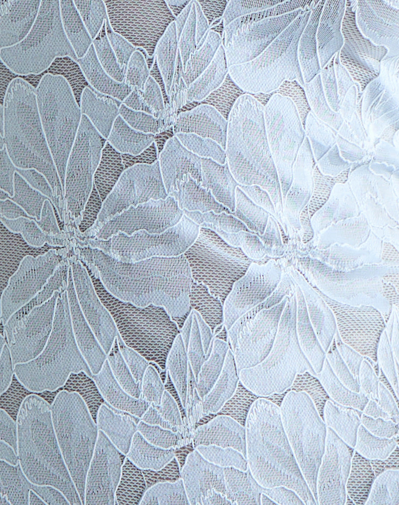 Titania Collar Mini Dress in Zinnia Lace Blue