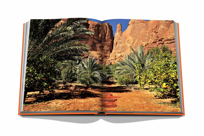 Alula Ever - Book