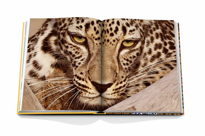 Arabian Leopard - Book