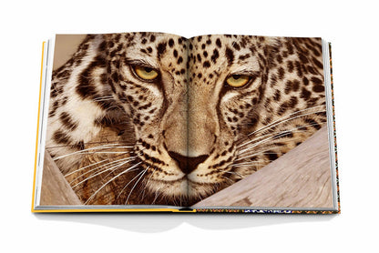 Arabian Leopard - Book