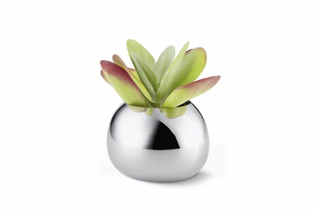 Bella Vases: S