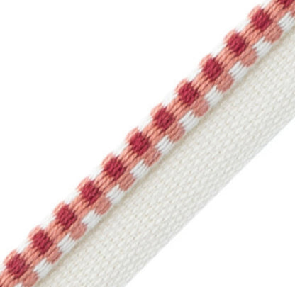 Country Gingham Piping: Available in 4 Colors - Annabel Bleu