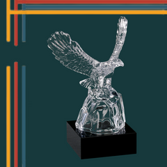 Home of the Brave Crystal Eagle Award