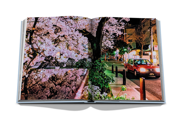 Kyoto Serenity - Book