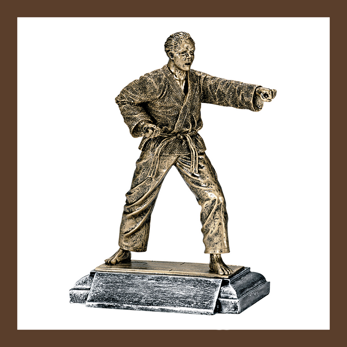 Martial Arts Classic Series Resins