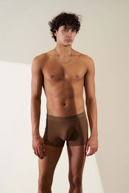 Model wearing Boxer Briefs 3 Pack in Organic Cotton in brown color, showcasing soft and breathable design.
