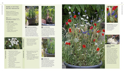 New Wild Garden: Natural-style planting and practicalities