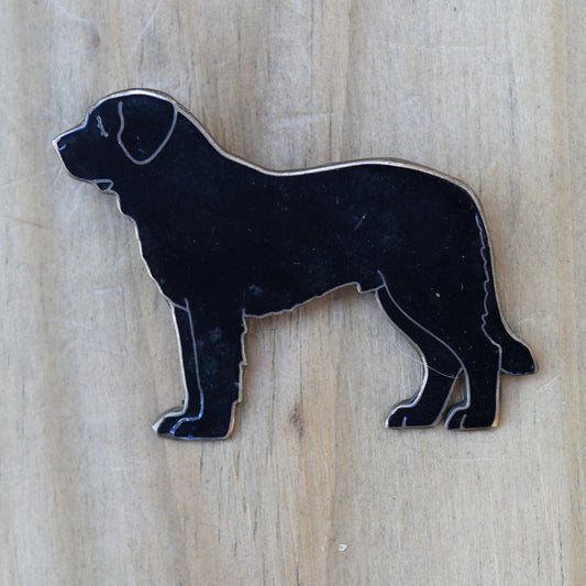 newf profile pin