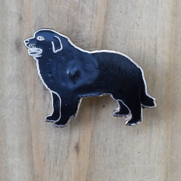 newf profile pin