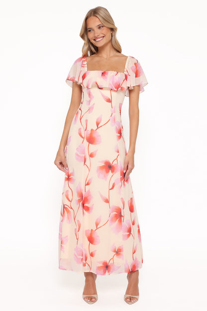 Kamie Maxi Dress - Pink Floral