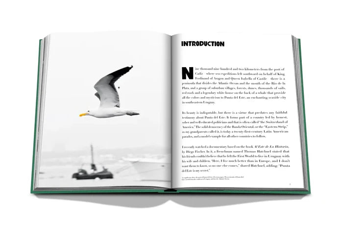 Punta Del Este - Book