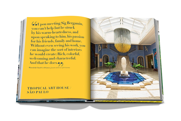 Sir Bergamin: Art Life - Book