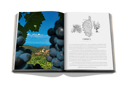 Wine & Travel France - Book
