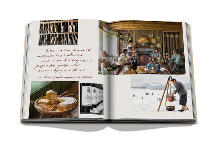 Wine & Travel Italy - Book